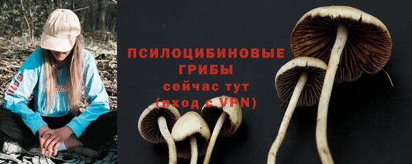 скорость Алексин