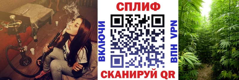 Бошки марихуана план  Тюмень 